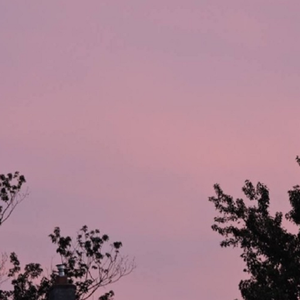 18🈲🍆🍑无套直欧美
