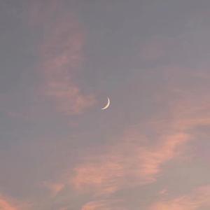 18🈲🍆🍑无套直欧美
